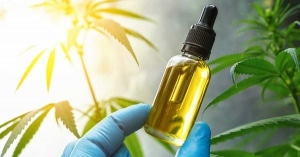 a person holding a bottle of cbd oil in front of a cannabis plant.