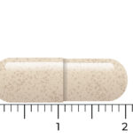 A Vitakruid - Ashwagandha KSM-66® & Bioperine® vegan capsule, beige and elongated, lies on a surface with a ruler showing its length as about 1.7 units.