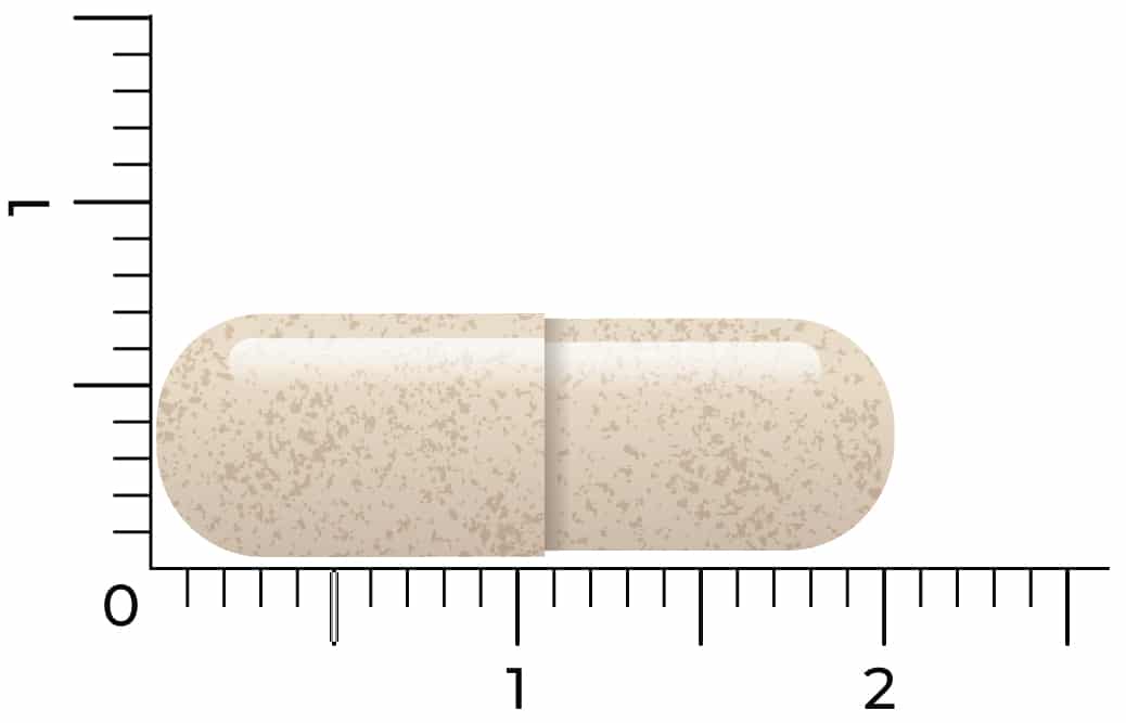 A Vitakruid - Ashwagandha KSM-66® & Bioperine® vegan capsule, beige and elongated, lies on a surface with a ruler showing its length as about 1.7 units.